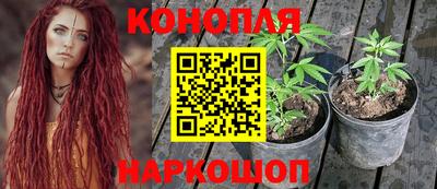 СК Ливны