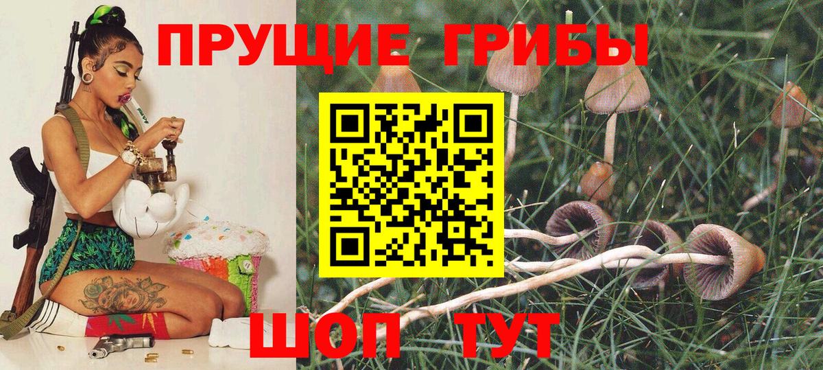 Псилоцибиновые грибы Magic Shrooms  Вход с VPN  Галлюциногенные грибы мицелий  Зерноград 